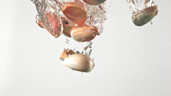 Super Slow Motion Garlic Cloves Fall Under the Water on a White Background
