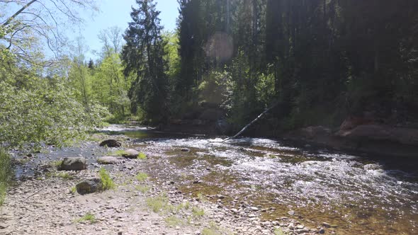 Spring on a sunny day on the Amata River