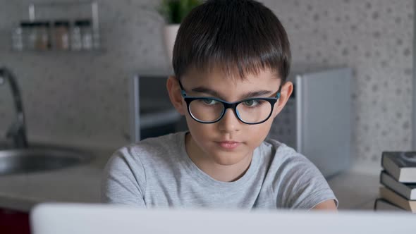 Portrait of an Attractive Boy Who Does Homework Using a Laptop.