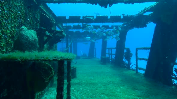 Shipwreck's port side deck with fish and current