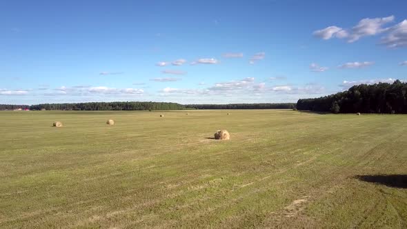 Upper View Packaged Hay Bales Scattered on Field with Bush