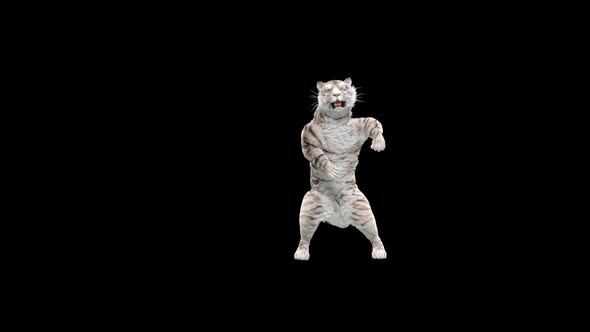 White Tiger Dancing 4K