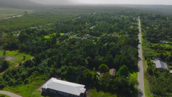 Fly Above Residential Buildings Surrounded By Dense Lush Green Vegetation