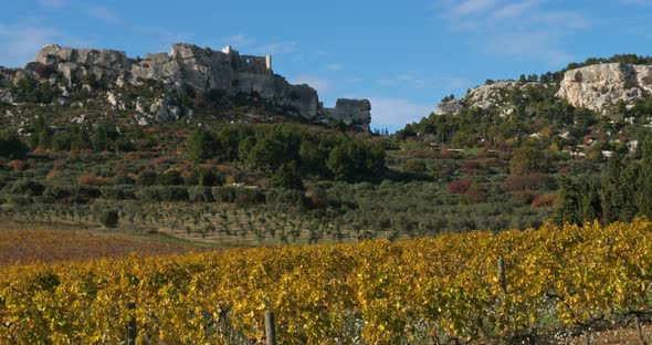 Vineyards, Les Baux de Provence, France