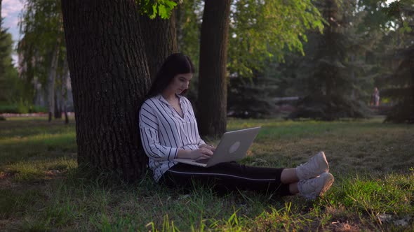 Woman Sitting Under Tree in Park Using Laptop Freelance Distance Working