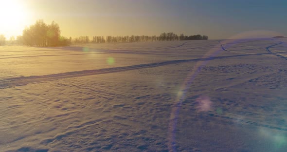 Aerial Drone View of Cold Winter Landscape with Arctic Field, Trees Covered with Frost Snow and