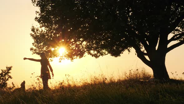 Silhouettes of Girl Training and Playing with Her Cute Dog During Amazing Sunset