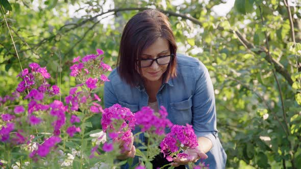 Middleaged Woman in Blooming Garden Touching Pink Plants Flowers Phlox