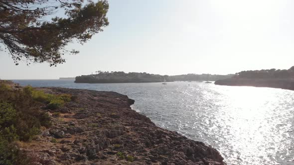 AERIAL: Flying under tree but over fissured sea cliffs of spanish coast