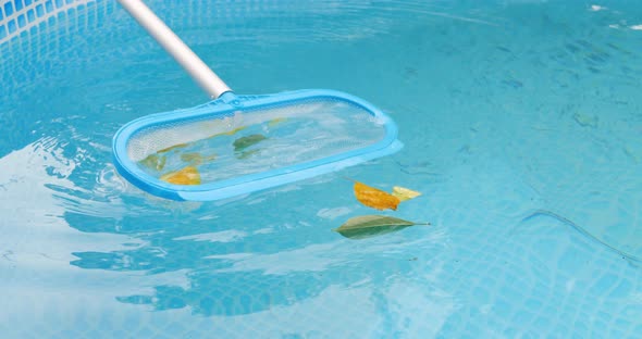 Cleaning a Swimming Pool with a Mesh Skimmer 