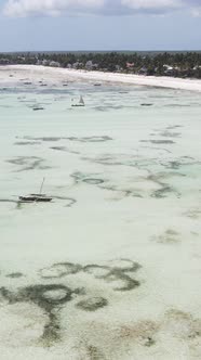 Vertical Video of Low Tide in the Ocean Near the Coast of Zanzibar Tanzania