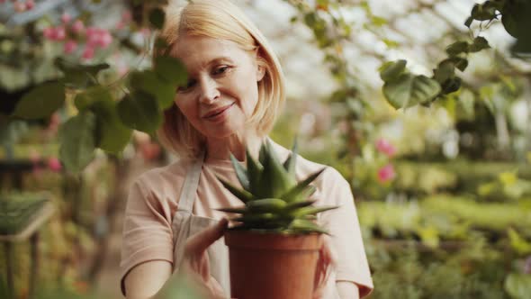 Cheerful Female Farmer Enjoying Potted Succulent Plant in Greenhouse