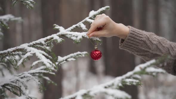 Female Hands Decorate a Living Tree with Ecofriendly Christmas Toys and Balls