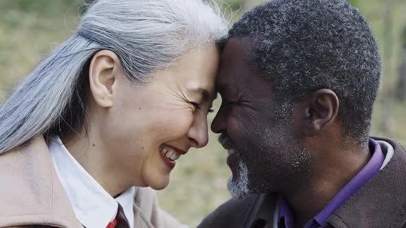 Happy multiethnic senior couple