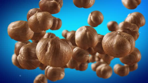 Flying of Hazelnuts in Blue Background