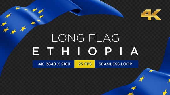 Long Flag European Union