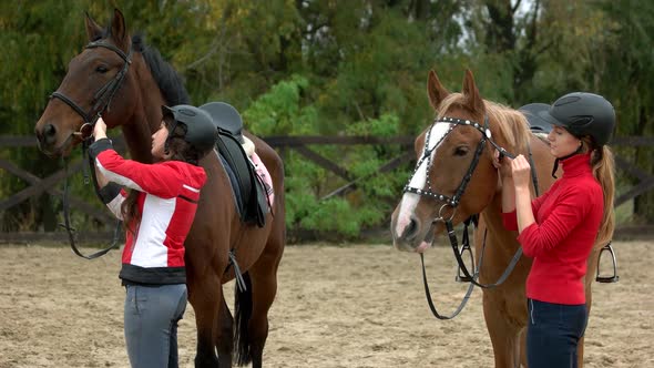 Happy Female Equestrians Preparing Their Horse for Riding