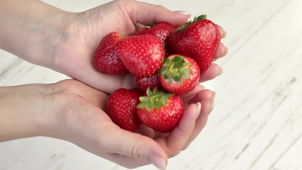 Top View Female Hands Holding Heap Fresh Ripe Red Strawberries with Green Leaves Over Wooden Table