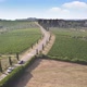 Tuscany vineyards and a road - Aerial - VideoHive Item for Sale