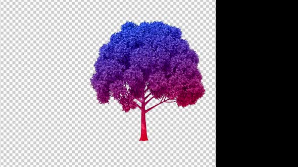 Colorful Growing Tree