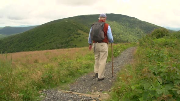 the appalachian trail in the blue ridge mountains