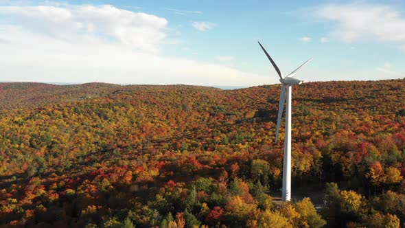 Windmill turbine clean energy wind farm beautiful autumn leaf season