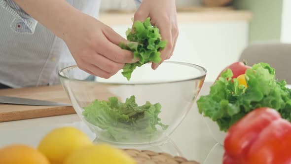 Woman Preparing of Vegetables in Kitchen