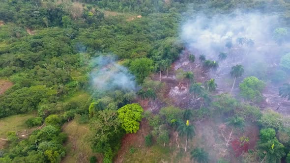 Aerial view over smoky, burnt nature, rain forests of Africa - pan, drone shot