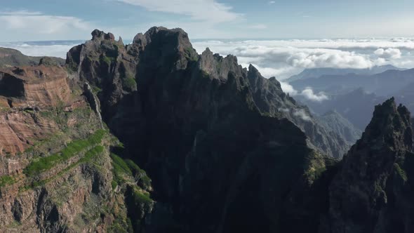 Drone Footage of Heather and Mosses in the Rocky Region