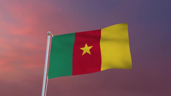 Flag Of Cameroon Waving