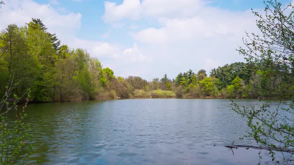 Venaria, Italy. Small lake in the La Mandria Park. Time lapse video.