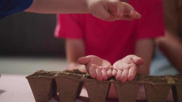 Little Children Plant Houseplants in Peat Pots