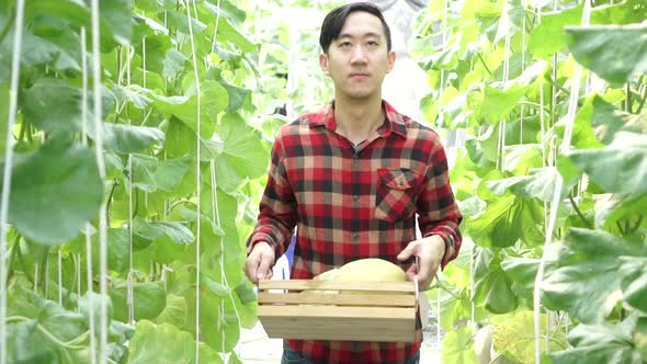 Young Asian Male Farmer Carrying a Basket of Watermelon Products and Walking on Farm Field