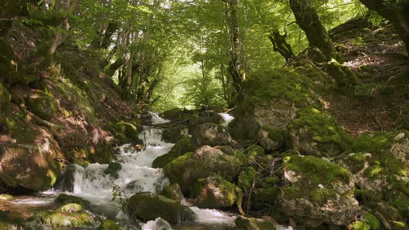 Waterfall with Mountain River in Montenegro