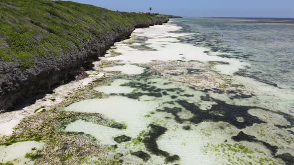 Ocean Low Tide Near the Coast of Zanzibar Island Tanzania