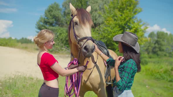 Cheerful Female Learning To Ride Horse Outdoors