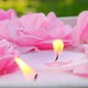 Flower candles.Pink burning candles and pink roses in water. - VideoHive Item for Sale