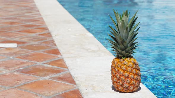 Pineapple Near Swimming Pool at Poolside