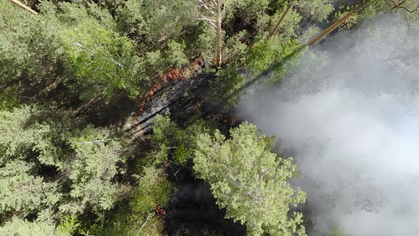 Aerial Footage Fire and Smoke Siberia Russia