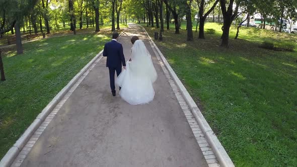 Newly wedded couple walking in green park, aerial view