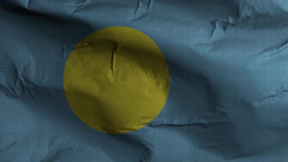 Palau Flag Textured Waving Background 4K