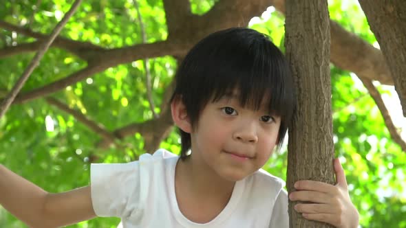 Cute Asian Boy Climbing A Tree In The Park 
