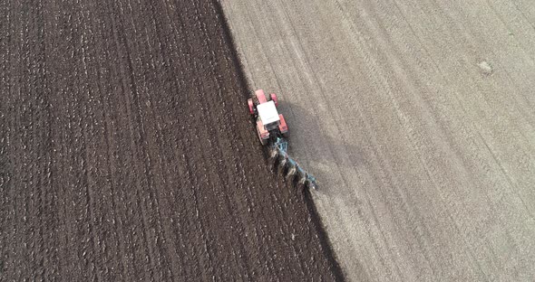 Agricultural Red Small Tractor in the Field Plowing