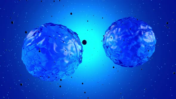 3D rendered animation, visualisation of a stem cell dividing