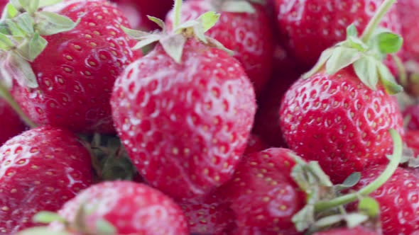 Ripe Red Strawberries with Green Leaves Soft Focus