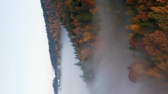 Vertical Shot Of Thick Foggy Clouds Covering Dense Forest With Autumnal Foliage. Tracking Left
