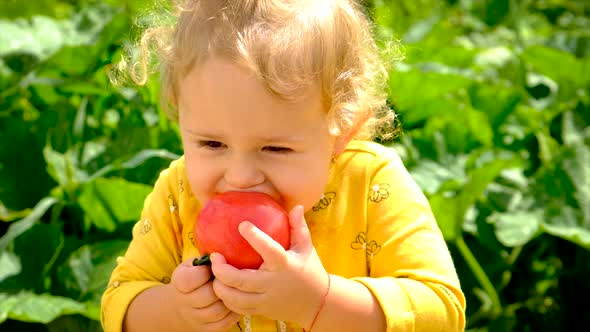 Child in the Vegetable Garden