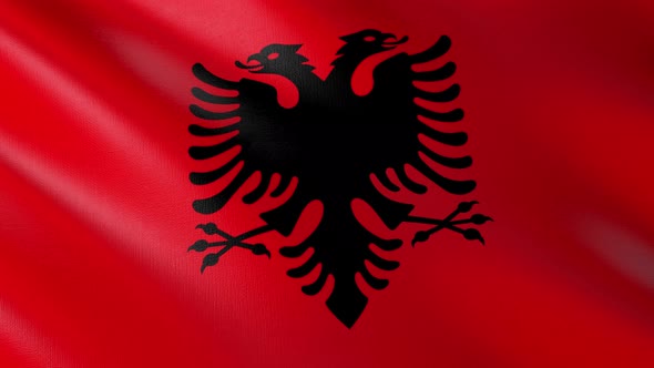 Flag of The Albania