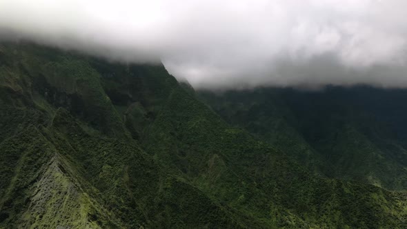 Aerial view of shady green valley covered with tropical forest, Maui, Hawaii