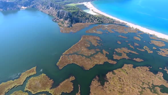 Aerial Swamp Wetland and Lake Next to Reed Delta by Sea